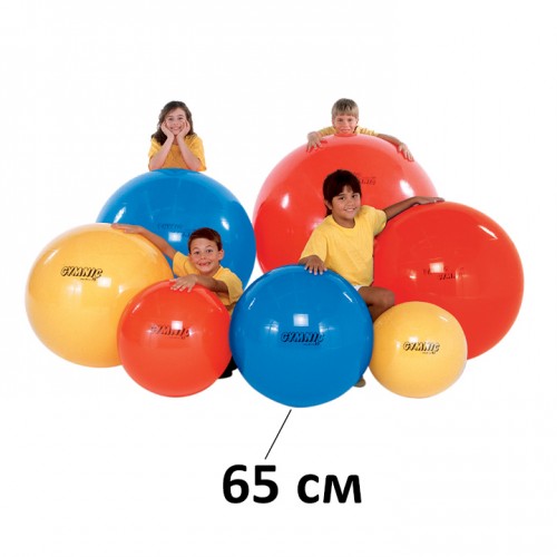 Топка за баланс GYMNİC CLASİC 95.65